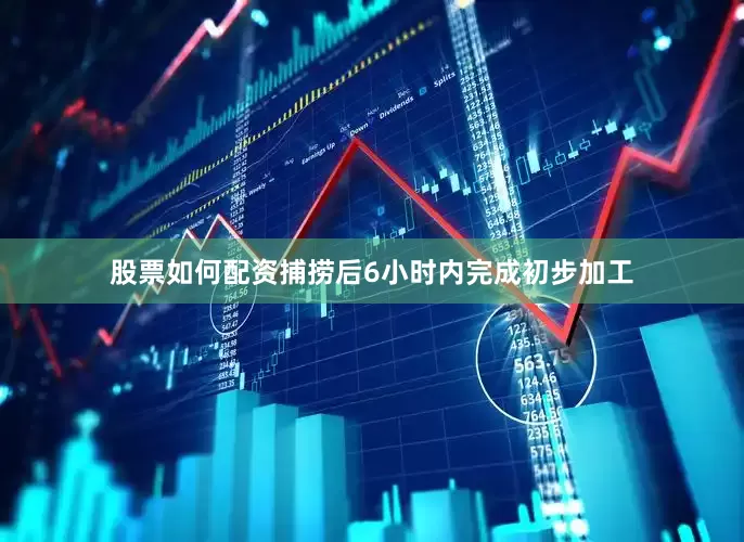 股票如何配资捕捞后6小时内完成初步加工
