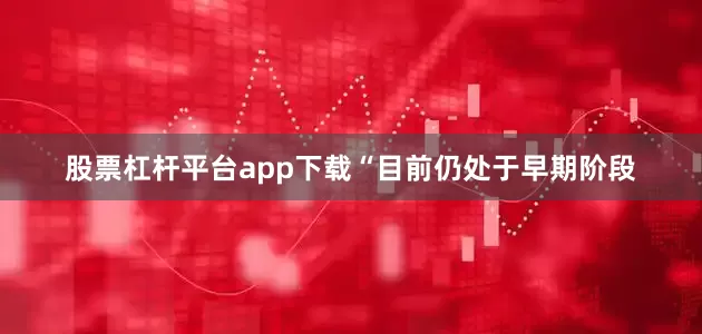 股票杠杆平台app下载“目前仍处于早期阶段